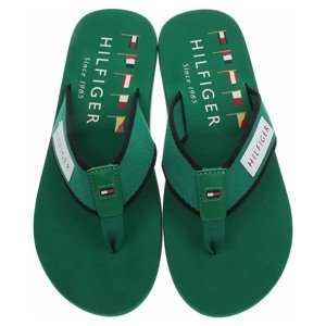 Tommy Hilfiger pánské plážové FM0FM05435 L4F Nouveau Green 45